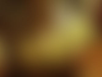 使ってみました