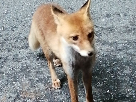 いよいよ明日です🎻🎅🎹
