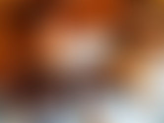 新しい生徒さんです🎻