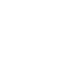 PakoLogo-white-reverse-2.gif
