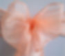 apricot organza sash.jpg