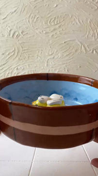 Thumbnail: Hotbath Otori Bowl