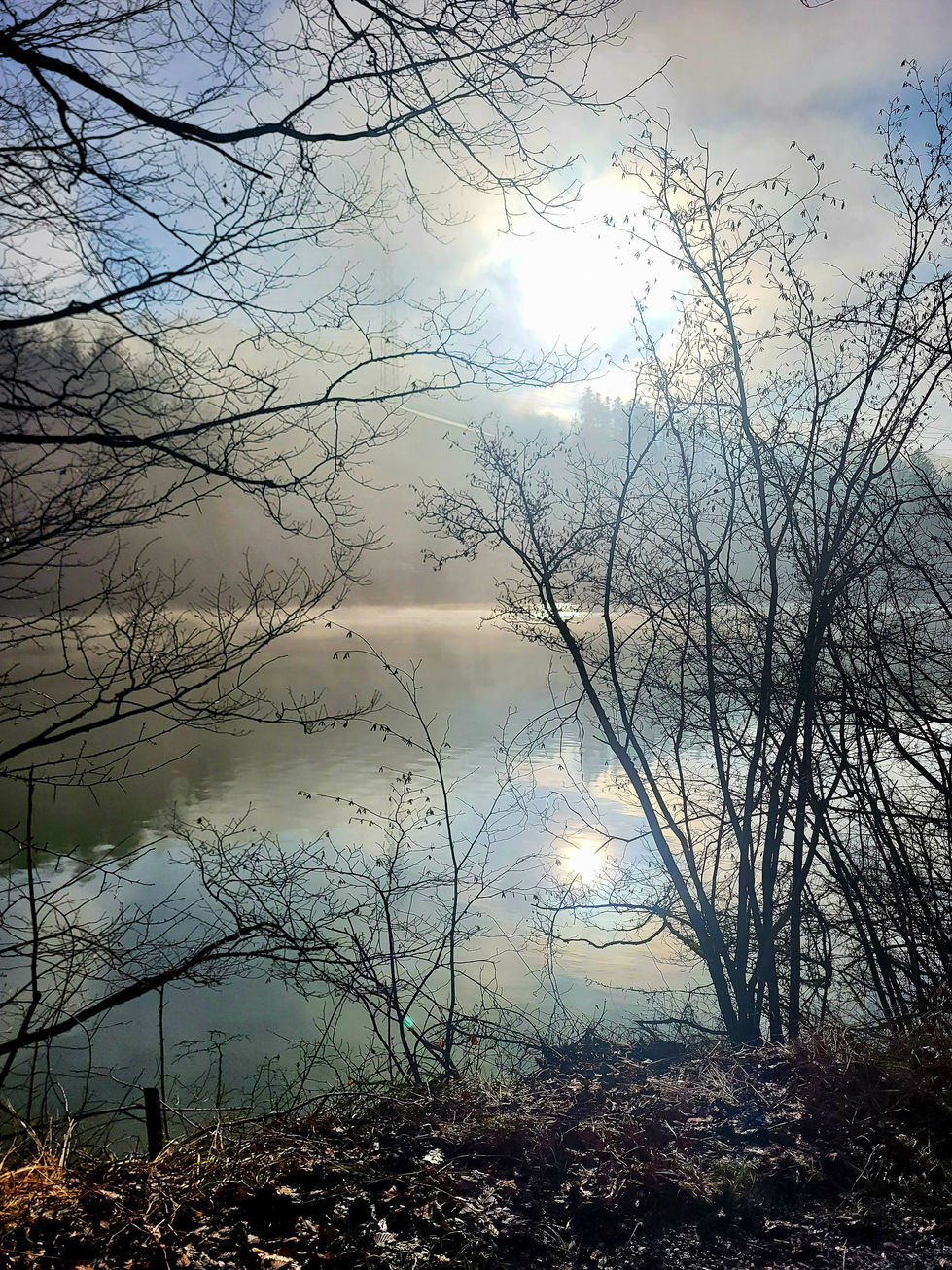 Gübsenseebild, Samsung