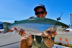 Steelhead2