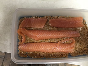 1st Layer of Fillets