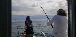 Walleye Fishing