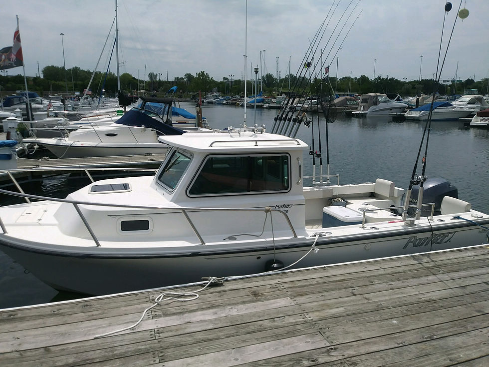 Midtown Fishing Charters Parker 2120