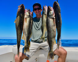 Walleye26