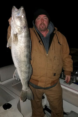 Lake Erie Walleye