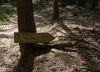 200801155138.jpg