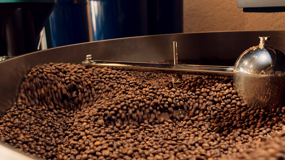 Online SHop Röstkaffee Rotbart Kaffee Specialty Coffee