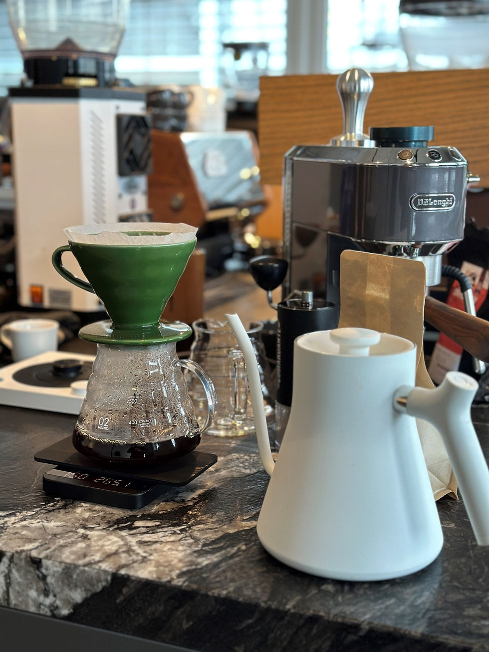 V60, Aeropress im Barista Kurs für Filter Kaffee Kurs Zubereitung in Stuttgart