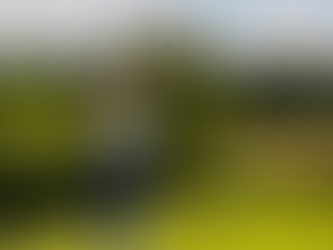 Untold Stories: How Champions Prepare for the British Seniors Golf Open