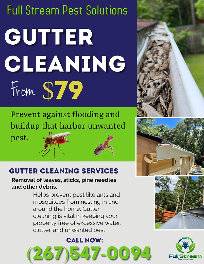 Gutter Cleaning Pest Prevention