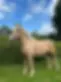 Baley.webp