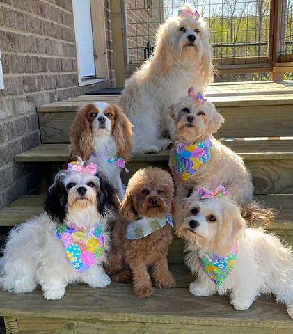 Mazie. Mylie. Izzy Claire. Oakley. Bella. Mia.2.jpg