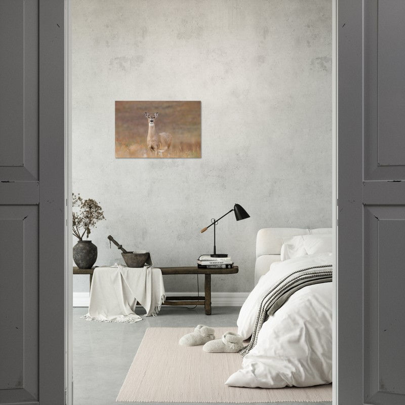 Thumbnail: Grace In The Grass aluminum print in a modern bedroom