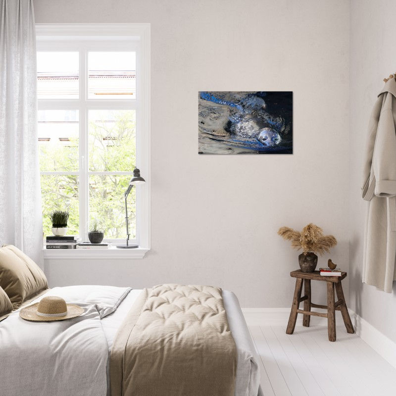 Between Breaths seal artwork on a bedroom wall