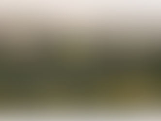 서울시, "반포지역 한강 덮개공원은 공공성 충분" 입장 밝혀