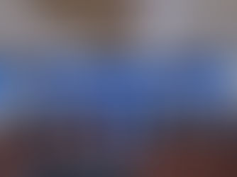 김병욱 위원장 - 더불어민주당 금융자본시장위원회 공식 출범