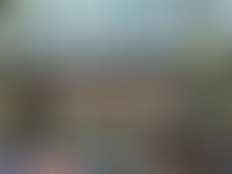 롯데손보 적기시정 조치...표적 제재 논란 확산