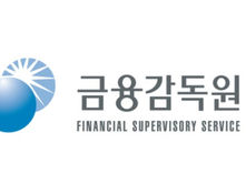 금감원, 내년도 감사인 지정결과 1230개 사전통지
