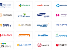 보험사 자본 건전성 지표 ‘K-ICS’, 기본자본 중심 구조에 문제 제기…“금리 변동성에 취약”