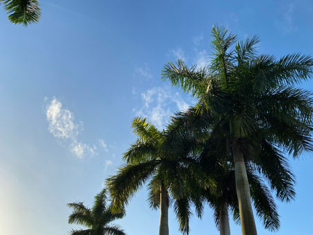 Delray Beach - A "Winter" Wonderland