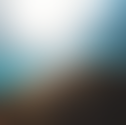 The gut-brain connection: how to feed your brain!