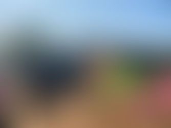 Yêu Người Lân Cận: Khởi động đầu năm - Trao quà cho Tín hữu có hoàn cảnh khó khăn