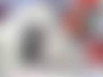 Accelerating Vision Systems with Image Processing Software Integration