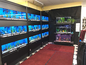 image_50441729.JPG