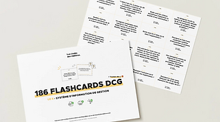 flashcards ue 8 dcg.png