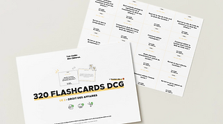 flashcards dcg ue 2.png