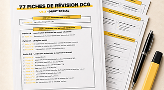DCG UE 3 FICHES.png