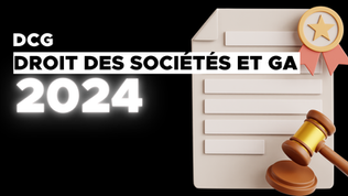 Sujet + corrigé DCG UE 2 Droit des sociétés 2024 [PDF]