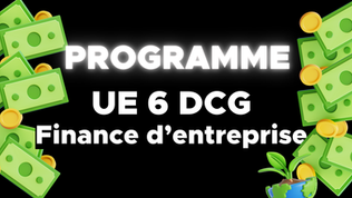 Programme DCG UE 6 - Finance d'Entreprise et conseils