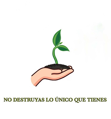 Logotipo_.jpeg.jpg