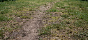 Patchy Lawn Holmfirth