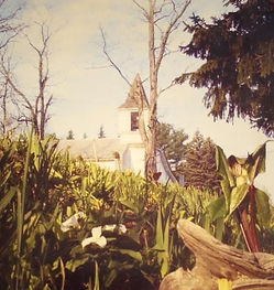 picture of church.jpg