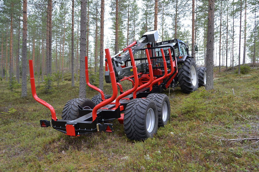 Farmi Forest