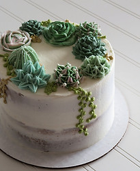 cake succulent.jpg
