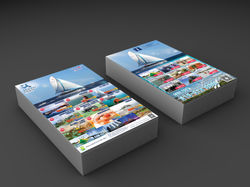 Marina Island Flyer