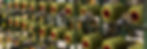 GJB_7271_edited.jpg