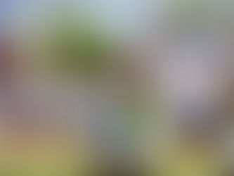 People Who Commonly Use Solitude