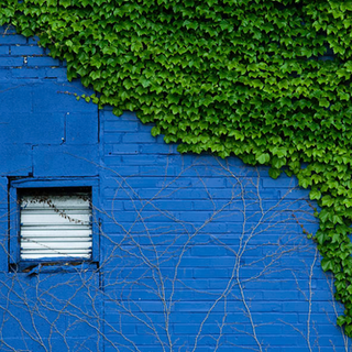 Abandoned building STL_GK.jpg