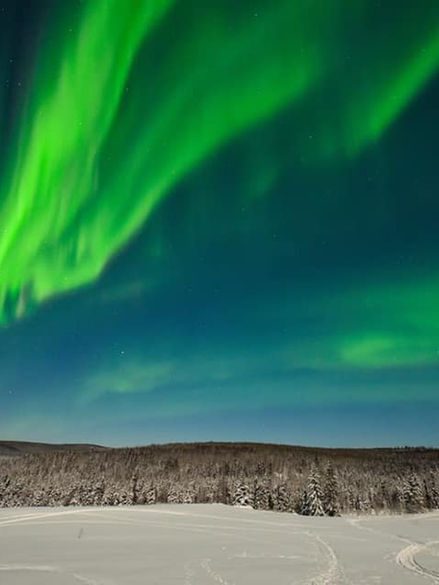nature school covered in skyrivers
