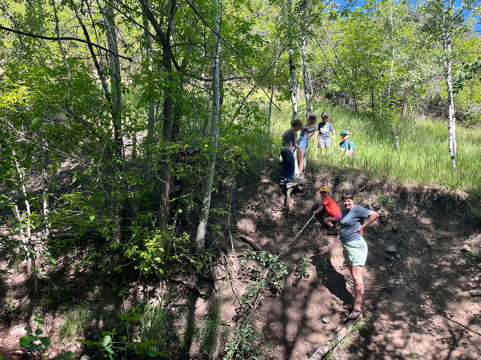 SkyRiver Students hiking and playing at forest school