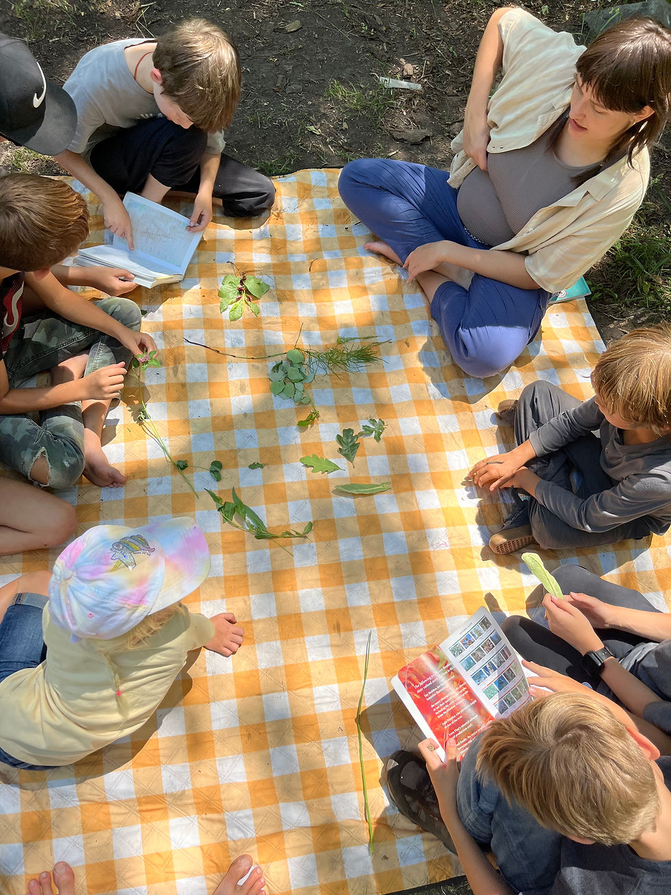Plant identification at Utah's Forest School; SkyRiver Outdoor School