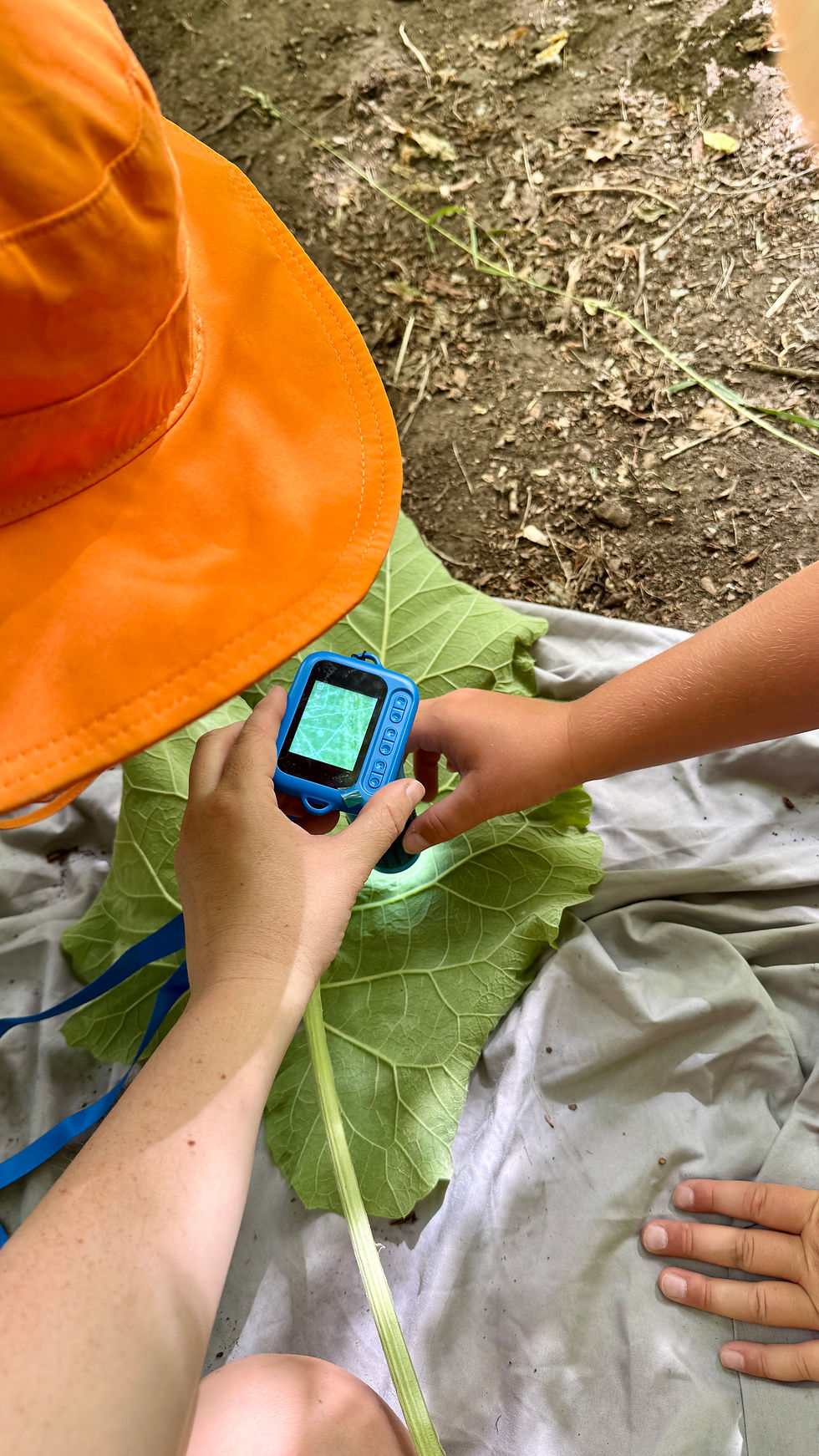 July 10; Ages 5-10 Class at Utah's Forest School